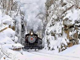 Mesnatur doğu ekspresi